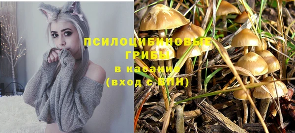 соль ск Куйбышев