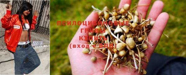 спиды Краснотурьинск