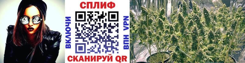 хочу наркоту  MEGA рабочий сайт  Марихуана сатива  Кулебаки 
